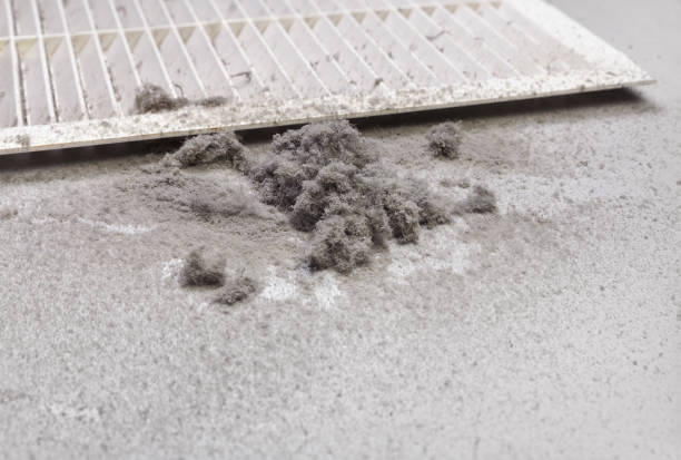 Best Air Duct Cleaning Cost  in Waskom, TX